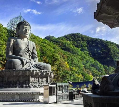 shutterstock-407561311_destinationMain_1533547424973